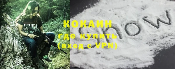 дмт Горно-Алтайск