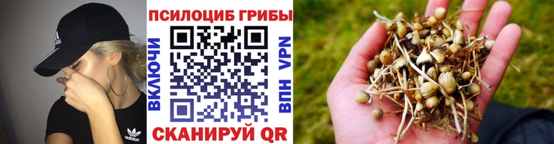 Купить  Лесозаводск  Галлюциногенные грибы Magic Shrooms 