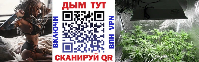 Каннабис MAZAR  Купить закладки  Лесозаводск 